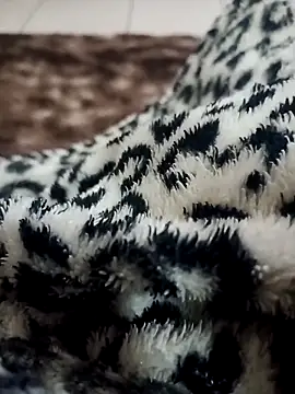 Gauderio40 online show from 21, 11, 2025