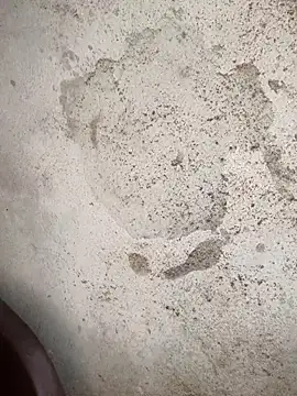 Schii69 online show from 18, 12, 2025