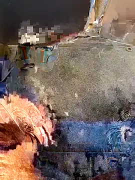 beerant online show from 8, 10, 2025