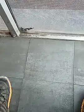 beerant online show from 24, 10, 2025