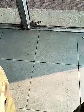 beerant online show from 1, 12, 2025