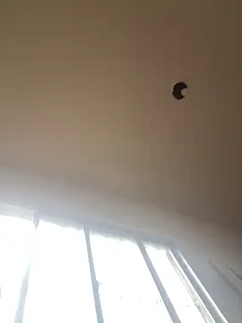 Katianesantos online show from 1, 3, 2026