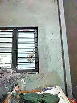 kute-00 online show from 26, 11, 2025