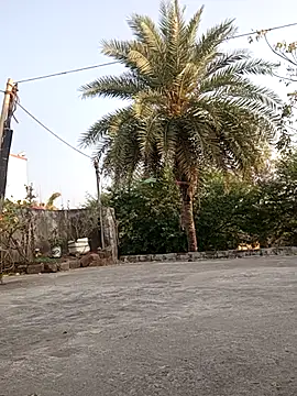 Snapshot of monu_bhabi chatting on 10, 2, 2026 monu bhabi online show from 10, 2, 2026