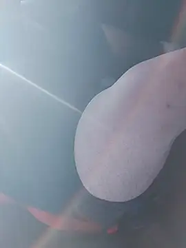 big teddy98 online show from 7, 1, 2026