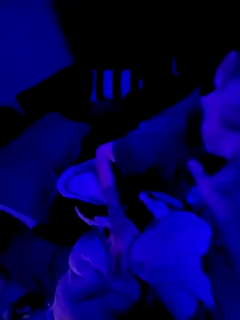 Snapshot of Ghost_Face803 chatting on 3, 3, 2026 Ghost Face803 online show from 3, 3, 2026