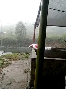 ngan-cute online show from 2, 11, 2025