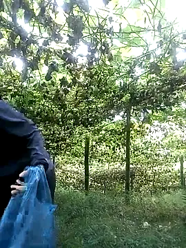 ngan-cute online show from 14, 10, 2025