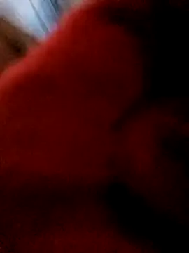 bing-bing88 online show from 12, 2, 2026