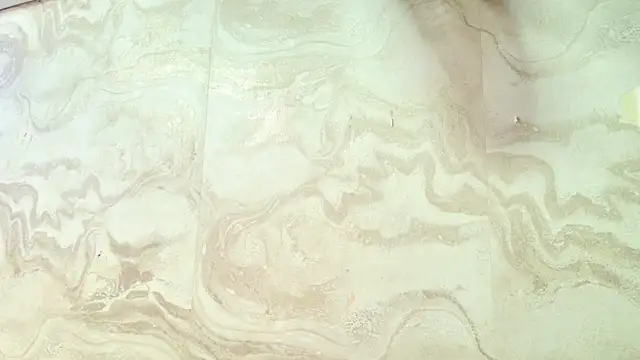 amy greene online show from 31, 3, 2026