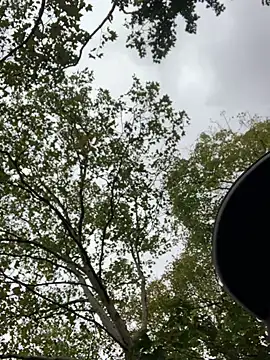 GeilerHSVFAN1989 online show from 16, 10, 2025