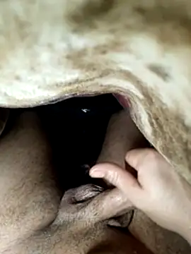 radois54 online show from 11, 2, 2026