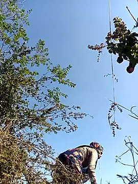 Hot-honi online show from 18, 12, 2025