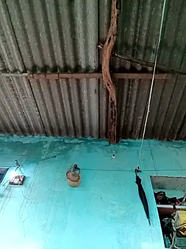 Hot-honi online show from 21, 9, 2025