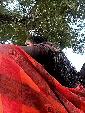 Hot-honi online show from 10, 11, 2025