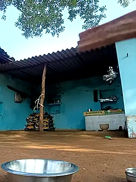 Hot-honi online show from 2, 11, 2025