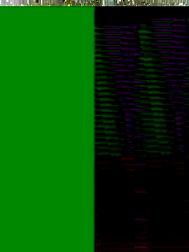 Hot-honi online show from 17, 11, 2025