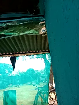 Hot-honi online show from 5, 11, 2025