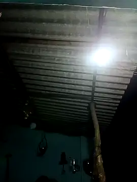 Hot-honi online show from 15, 1, 2026