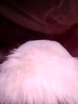 VanGau031694 online show from 13, 11, 2025