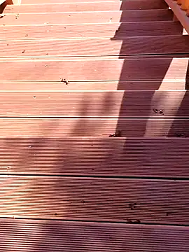 shaoshao-7758 online show from 11, 11, 2025