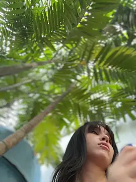 VendiMur online show from 21, 3, 2026