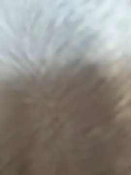 VendiMur online show from 27, 3, 2026