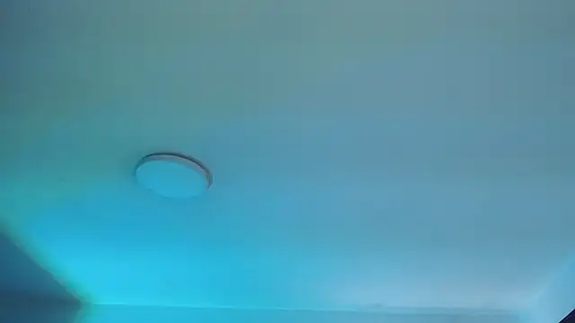  Charlotte Collins  online show from 10, 4, 2026