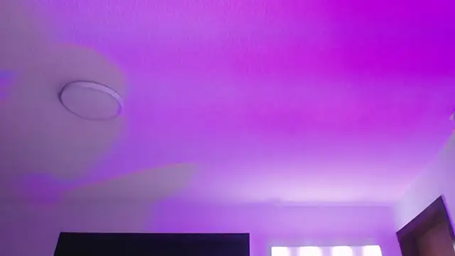  Charlotte Collins  online show from 22, 9, 2025