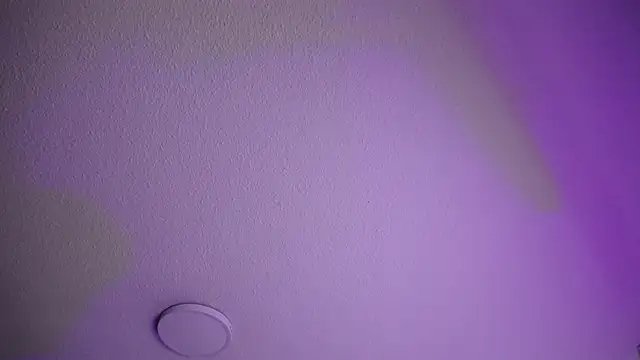  Charlotte Collins  online show from 30, 10, 2025