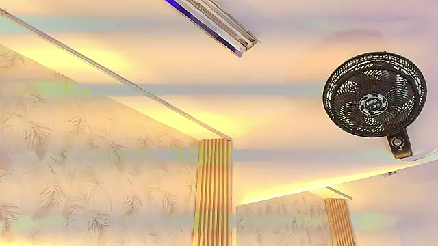 Liss-Reyes online show from 5, 3, 2026