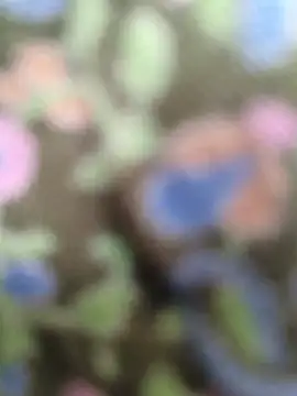 sexy  girls98 online show from 17, 6, 2026