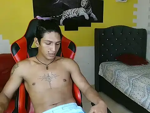 bull cam online show from 29, 11, 2025