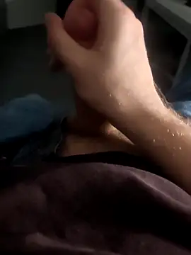 stunning stallion online show from 14, 3, 2026