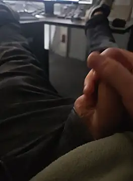 stunning stallion online show from 18, 10, 2025