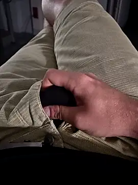 stunning stallion online show from 9, 4, 2026