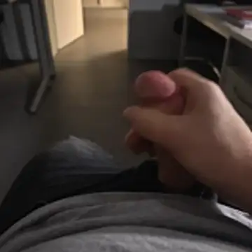 stunning stallion online show from 24, 11, 2025