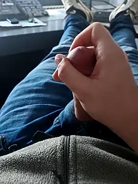 stunning stallion online show from 8, 3, 2026