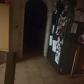 stunning stallion online show from 2, 4, 2026