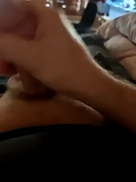 stunning stallion online show from 5, 3, 2026