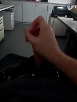 stunning stallion online show from 8, 2, 2026