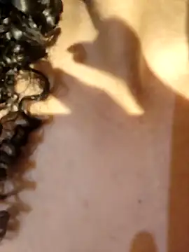 kate lua online show from 2, 4, 2026