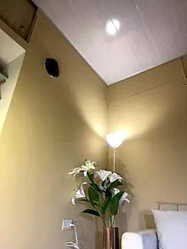 RedVelvet Dream online show from 23, 12, 2025