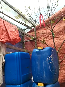 liu-liusexy online show from 19, 2, 2026