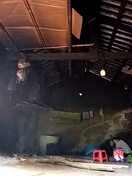 omiu-baby online show from 3, 10, 2025