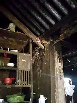 omiu-baby online show from 26, 3, 2026