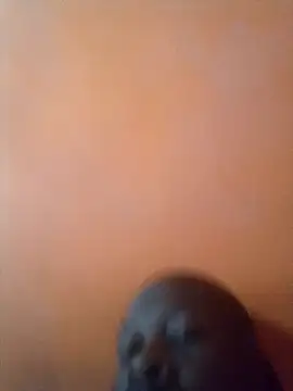 Snapshot of Tearain84 chatting on 14, 6, 2026 Tearain84 online show from 14, 6, 2026