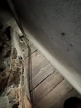 AnHa19 online show from 6, 11, 2025