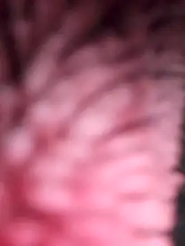 simi-lucy online show from 28, 11, 2025