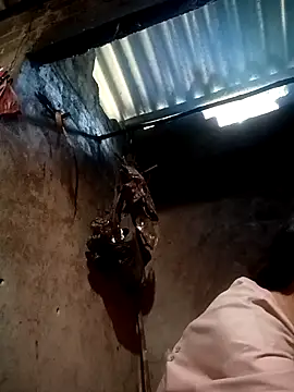 simi-lucy online show from 1, 12, 2025